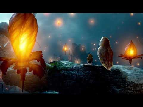 ბუ - ქალი როგორც ყვავილი / bu -  qali rogorc yvavili