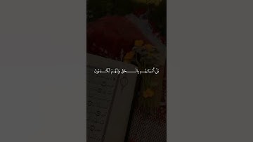 تلاوة جميلة ومؤثرة تلامس القلب وتجعلنا نتأمل في كلام الله