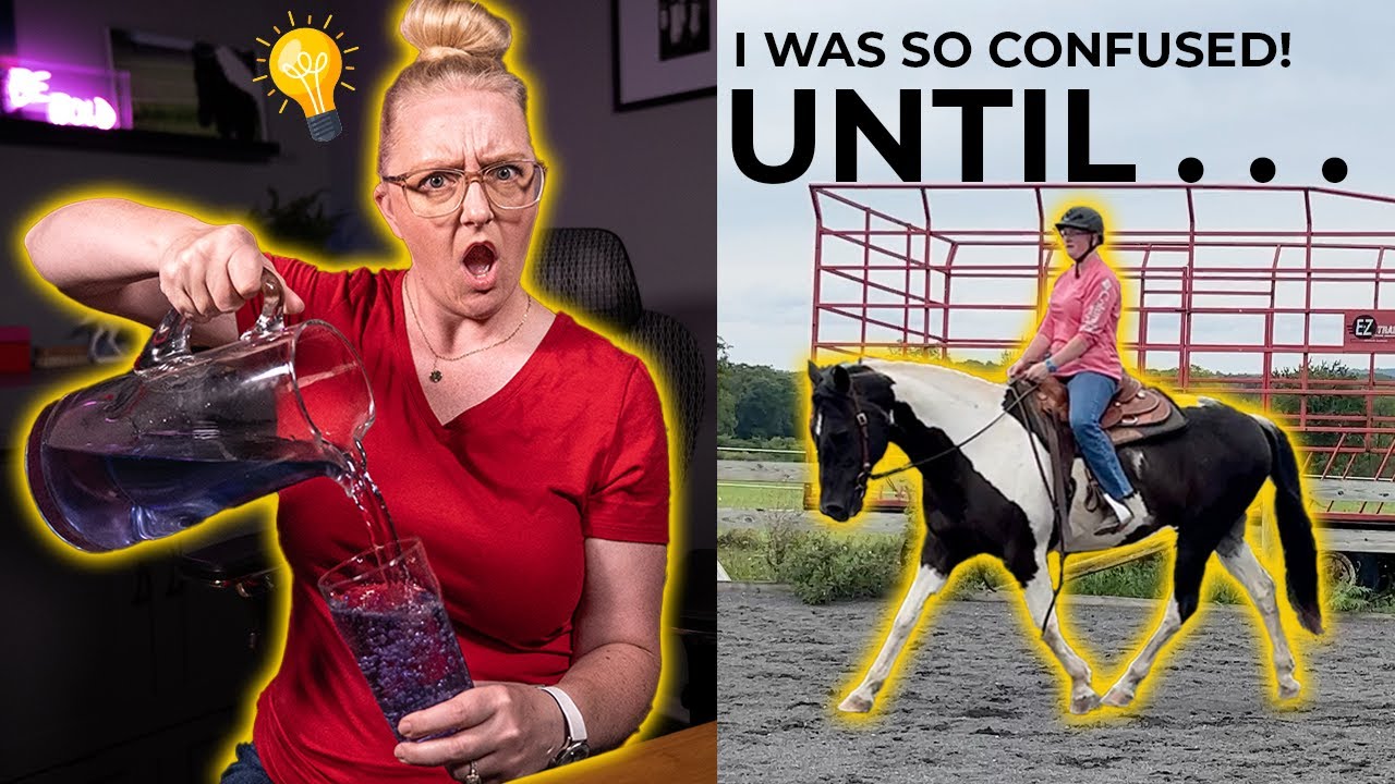 NO ONE HAS EVER EXPLAINED COLLECTION LIKE THIS! // Getting my horse