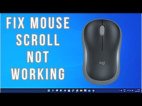 How to Fix Mouse Scroll Not Working on Windows 11/10
