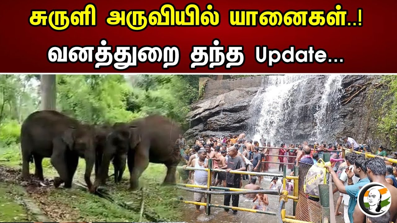 Tamil Nadu Forest Dept கொடுத்த Update... |  சுருளி அருவியில் யானைகள்...! | 30.04.2023