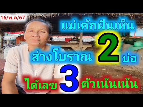 แม่เค้กฝันเห็นว่างโบราณ2บ่อ มีเด็กน้อยอ้อมเต็มส่างได้เลข3ตัวเน้นเน้น