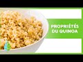 Bienfaits du quinoa pour la sant  proprits  quoi a sert et comment le consommer