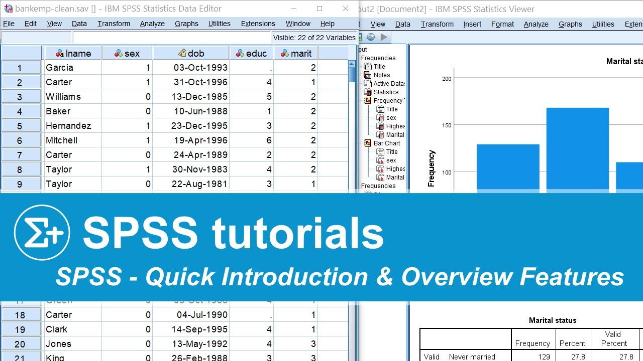 Online SPSS Tutorials vs. Professional SPSS Assignment Help