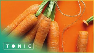 BEING ADDICTED TO CARROTS DOESN'T MAKE YOU HEALTHY | EAT, DRINK AND BE HEALTHY