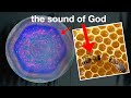 The sound that transforms every cell in your body the sound of god