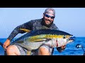 Popping for yellowfin tuna  falmouth ma  s21 ep 1