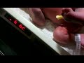 VIDEO0016 1