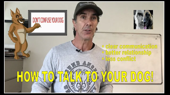 How to TALK to YOUR DOG - Robert Cabral - Dog Training Video