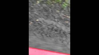 25X10 Mudlites At 1993 Klf 300