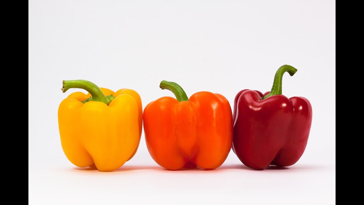 Germinating Pepper Seeds Paper Towel Zip Lock Method YouTube