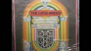 Video thumbnail of "Latin Breed - El Cisne"