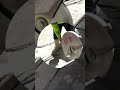 Precision Concrete Cutting for Toca Madera Miami by A&Y GPR Service