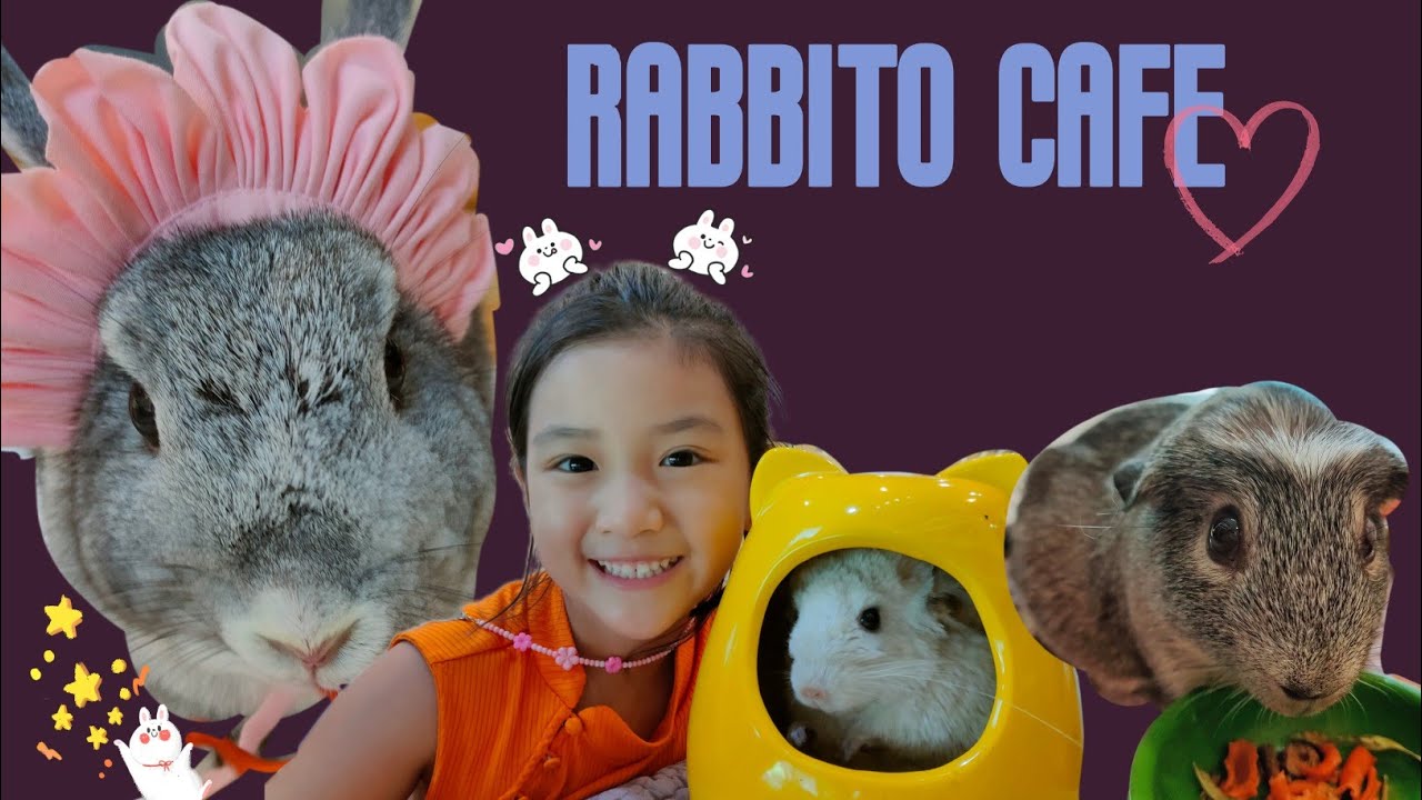 One day...One cafe with Pordee EP.4 | Rabbito Cafe สวรรค์ของคนรักกระต่าย 🐰