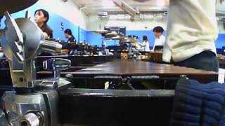 Arcadia HS Winter 2025 Xylo Cam | Ethan Liu