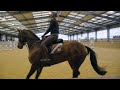 The Howden Way - Regional Training Academies, British Eventing