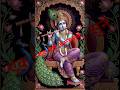 राधे कृष्ण की ज्योति अलौकिक 🥰🙏#krishna #love #song #short #Tarot #DivineGuidance #Bhakti
