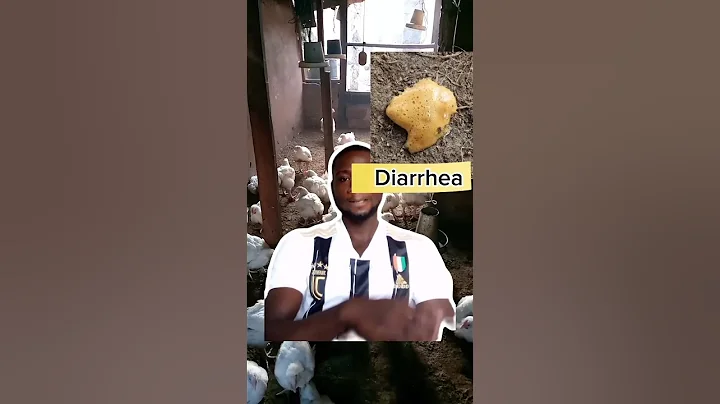 five (5) signs of coccidiosis in chickens