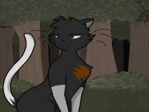 movida animaotiotnn?/?//?/