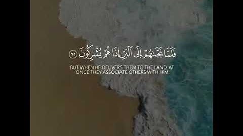 القارئ عبدالرحمن مسعد l َإِذَا رَكِبُوا فِي الْفُلْكِ دَعَوُا اللَّهَ مُخْلِصِينَ لَهُ الدِّينَ