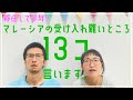 【移住半年】いまだにマレーシアの受け入れ難いところ13コ。発表します
