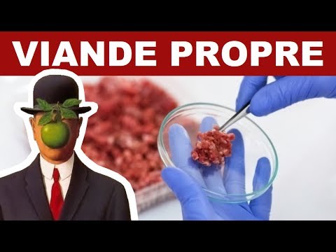 Vidéo: Qu'est-ce qu'un paragraphe de viande?