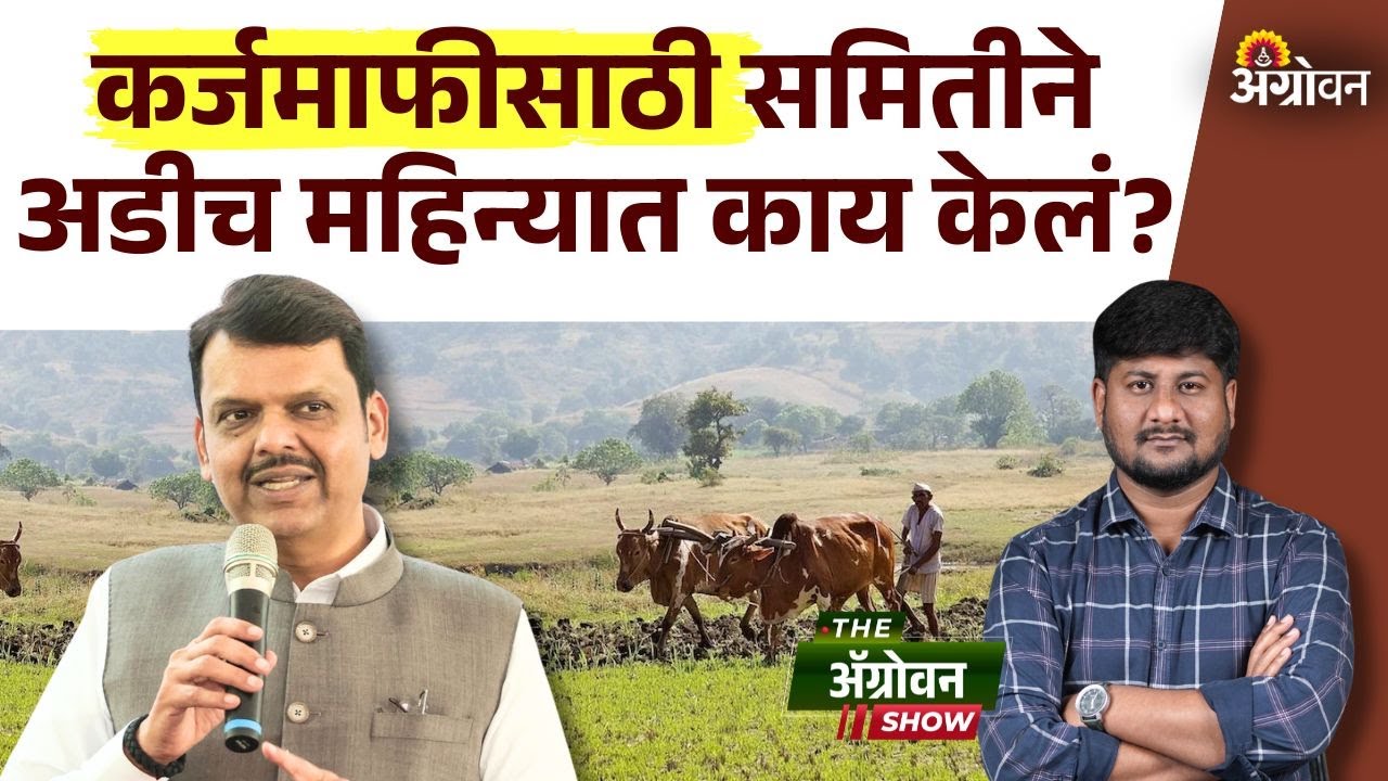 Shetkari Karjmafi : शेतकरी कर्जमाफीसाठी सरकार वेळकाढूपणा करतच राहणार का?| Agrowon