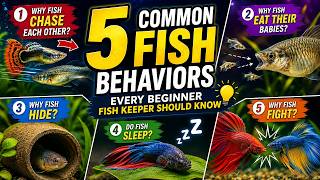 Why Do Fish Chase, Hide, Fight, Sleep, and Even Eat Their Own Babies?