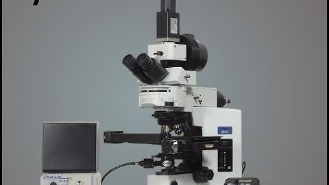 CytoViva Enhanced Darkfield Illumination System