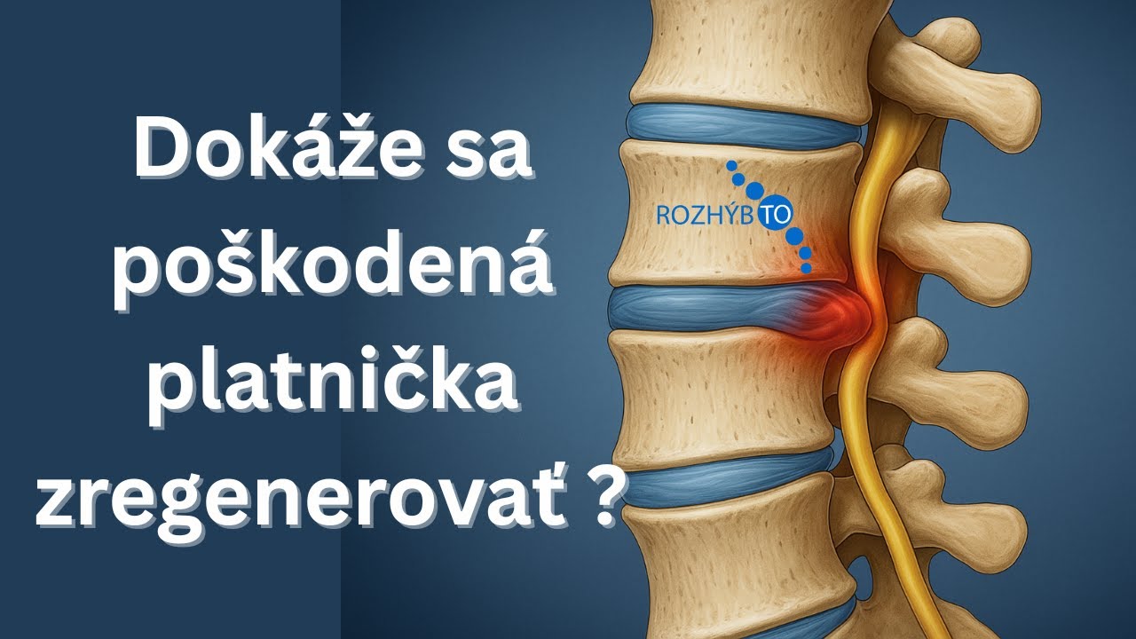 Dokáže sa poškodená platnička zregenerovať ? 😲
