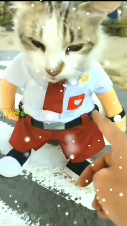DISEKOLAHIN SUPAYA PINTER Ko..MALAH JADI PREMAN|Anabul Cosplay