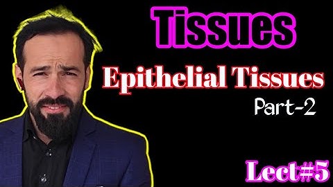 Epithelial Tissue - Structure & Function | Types of Epithelial tissues | Part-2