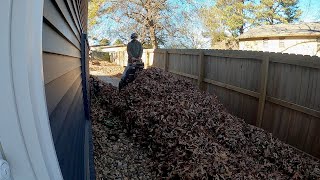 INSANE Amount of LEAVES in BACK YARD