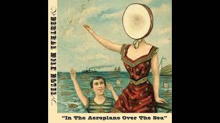In the Aeroplane Over the Sea - Album April 2024 Day 11