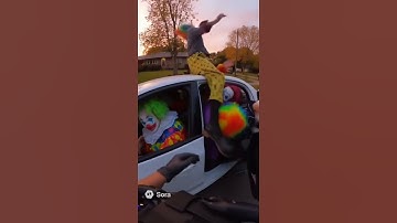 Police bodycam footage from the circus patrol unit 🎪