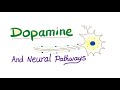 Dopamine  neural pathways  physiology  pharmacology
