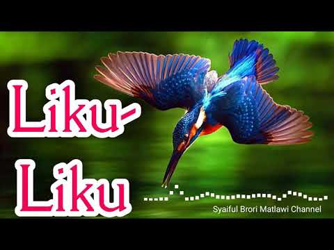 Video Liku Liku Camelia Malik