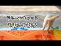 ドワーフキャットのお散歩:Dwarf cat a walk