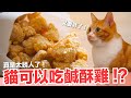 【好味小姐】貓咪可以吃鹹酥雞嗎？不會變太胖嗎！？｜貓副食食譜｜貓鮮食廚房EP178