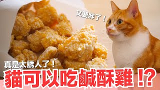【好味小姐】貓咪可以吃鹹酥雞嗎不會變太胖嗎貓副食食譜貓鮮食廚房EP178