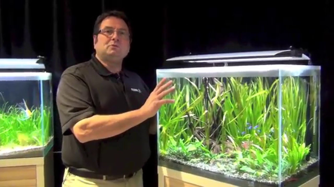 Fluval Fresh Aquariums Youtube