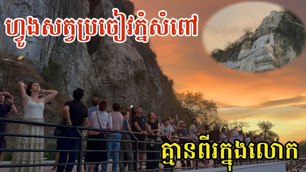 #3016 ហ្វូងសត្វប្រចៀវភ្នំសំពៅ មានតែមួយក្នុងលោក | សម្បត្តិជន 