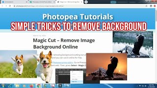 EASY Background Removal Trick for FAST || REMOVE BACKGROUND II MAGIC CUT  || PHOTOPEA TUTORIAL screenshot 4