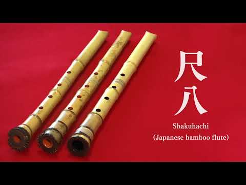 尺八｜Shakuhachi (Japanese bamboo flute)