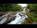 Tawhai Falls in Rocky Mountains. Nature Sounds, Waterfall & River Sounds, White Noise for Sleeping.