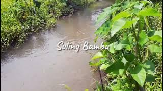 Suasana Panen Padi | Suling Bambu