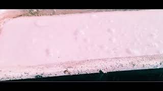 Slaking Quicklime to make Lime putty