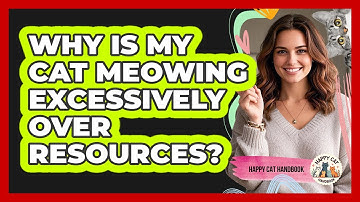 Why Is My Cat Meowing Excessively Over Resources? - Happy Cat Handbook