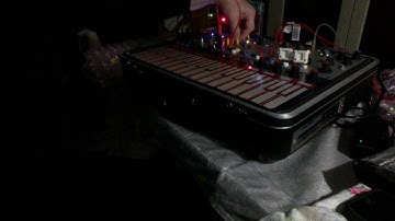 Buchla Easel+iprogram card