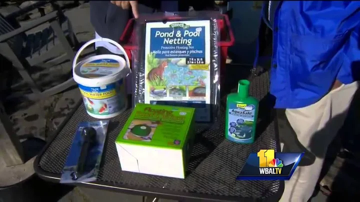 Sunday Gardener: Preparing ponds for winter